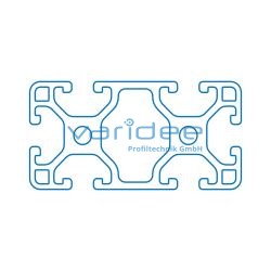 Profil 6 60x30 leicht (3 Meter)