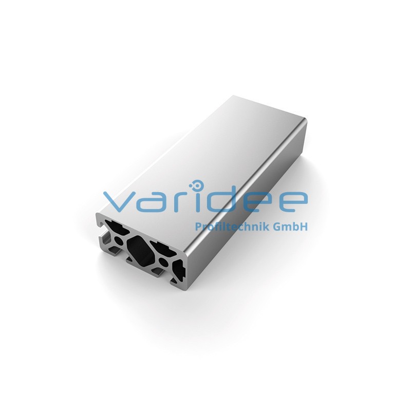 Profil 5 40x20 3N90 (3 Meter)